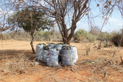 Anhaltende Dürre ist zwar ein bedeutender, aber dennoch nur einer von mehreren Ursachen für eine Hungersnot. Foto: humedica/Katja Weber