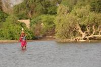 Menschen leiden unter den Extremen
