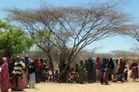 Viele Gründe, die zum Weitermachen bewegen