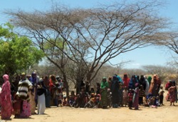 Bis in Kürze ein Sonnenschutz errichtet wird, müssen die wartenden Patienten mit diesem ausgetrockneten Baum als Schattenspender auskommen. Foto: humedica/Katja Weber