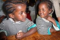 „Malkam addis amet 2005“