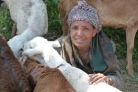 „Die Schafe werden mein Leben verändern.“