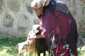 Darüber hinaus sollen Jungtiere aber auch an Nachbarn, Freunde und Familie verteilt werden, um langfristig noch mehr Begünstigte zu erreichen. Foto: humedica/Steven Hofmann