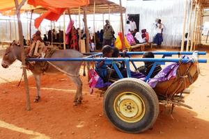 Während Dahir die Patienten in die Behandlungsräume bringt, passen Kinder auf den treuen Esel Wiro auf, dank dessen Esel-Stärke Kranke zur gesundheitsstation gebracht werden können. Foto: humedica