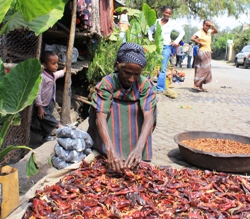 Elefeneshs Mutter beim Trocknen von Berbere, einem typisch äthiopischen Gewürz. Foto: humedica/Ruth Bücker