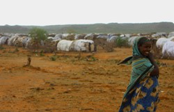 Laut Angaben des Welternährungsprogramms der Vereinten Nationen sind am Horn von Afrika 13 Millionen Menschen auf Ernährungshilfe angewiesen. Foto: humedica/Raphael Marcus