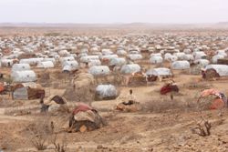 Das Flüchtlingslager Melkadida im Süden Äthiopiens ist eines der Standorte, in denen humedica hilft. Foto: humedica/Sven Ramones