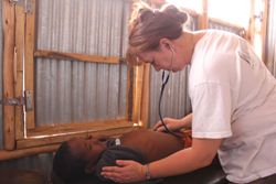 Durch die Unterernährung geschwächt, können auch vergleichsweise harmlose Erkrankungen schwerwiegende Auswirkungen haben. Hinzu kommt die zu bannende Bedrohung einer Choleraepidemie. Foto: humedica/Sven Ramones