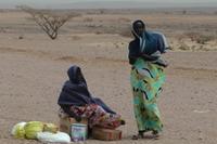 humedica unterstützt lokalen Partner in Dschibuti