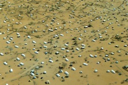 Um die Stadt Dadaab herum haben sich bereits seit Jahren Flüchtlingslager gebildet. Aktuell kommen täglich weitere Notunterkünfte hinzu. Foto: humedica/Florian Klinner