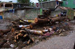 Im Vergleich sind deutsche Stürme ein laues Lüftchen