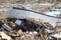 „Das Schlimmste, was ich in meinem Leben gesehen habe“