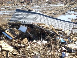 Bedrückt berichtet Pastor Rick, dass Ishinomaki wie ein Kriegsgebiet aussehe. Es sei das Schlimmste, was er in seinem Leben gesehen habe. Für den Wiederaufbau benötigen wir Ihre Hilfe! Foto: Privat/James Coble