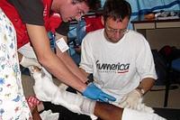 Tagebuch aus Haiti: Ein Überblick