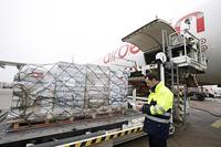 ERDBEBEN IN HAITI: humedica konnte bislang mehr als 100 Tonnen Hilfsgüter ins Katastrophengebiet versenden