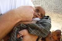 Wie es mit dem kleinen Fasil weiterging