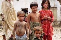 Erneute starke Regenfälle lassen den Wasserpegel wieder ansteigen