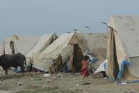 „Von der Zeltplane bis zur Tischdecke – alles muss herhalten.“