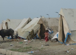 Auf einer Strecke von acht Kilometern stehen Zelt an Zelt die Notunterkünfte. Foto: humedica/Ferdinand Hofer