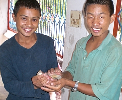 Neben Moskitos und anderen Insekten haben die Kinder und ihre Betreuer immer wieder auch mit besonderen Eindringlingen zu kämpfen wie etwa Affen oder Eichhörnchen. Foto: PENIEL
