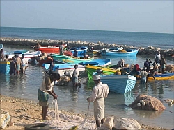 1.250 Familien hat humedica nach dem Tsunami mit einem Boot unterstützt. Foto: humedica