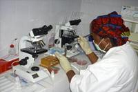 Neues Labor ermöglicht gezielte Behandlung statt "Breitband-Therapie"