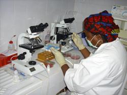 Das neue Labor in derhumedica-Klinik in Kollo bietet eine gezielte Diagnostik. Foto: humedica/Simone Winneg