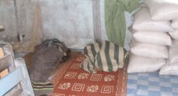 Noch schlafen viele Kinder eingerollt neben den Lebensmitteln. Foto: humedica/M. W.