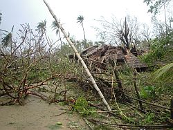 Erste humedica-Fotos aus Myanmar: Die Wucht des Zyklons ist trotz der Bilder unvorstellbar. Foto: humedica
