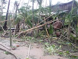 Die Überlebenden hausen unter Bambusblättern, haben keinen Zugang zu sauberem Trinkwasser und zu Nahrungsmitteln. Foto: humedica