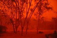 Wenn der Regen kommt bringt er Leben, Lachen und Zuversicht