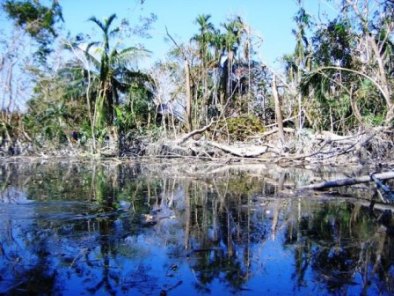 "Sidr" fegte mit 250 Kilometern pro Stunde über Bangladeschhinweg.