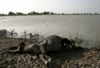 "In Pakistan ist das Schlimmste längst nicht vorbei"