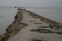 Situation für Flutopfer wird immer schwieriger