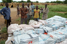 Leichte Entspannung in den Überschwemmungsgebieten von Mosambik
