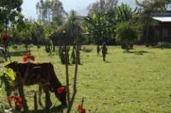 Äthiopien: Ärzteteam hilft an verschiedenen Stellen im Land - Teil 1