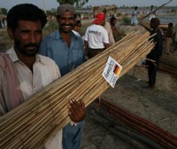 Schlangenbisse und effektive Hilfe
