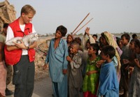 Schlangenbisse und effektive Hilfe