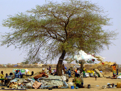 Flüchtlingsfamilien suchen den schützenden Schatten