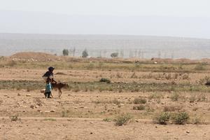 Für Europäer der Zahnarztbesuch unter den Wetterlagen, für Millionen von Menschen dringend ersehntes Ereignis: "schlechtes" Wetter mit Niederschlag. Foto: humedica/Ruth Bücker