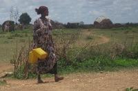 Wasser - Elixier des Lebens