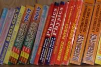 Neuerungen und Entwicklungen in der Kindertagesstätte