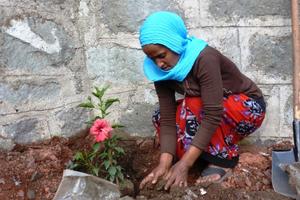Bei der Bepflanzung des Spielhofes der neuen Kindertagesstätte arbeiteten Groß und Klein zusammen und hatten gemeinsam Spaß. Foto: humedica/Steven Hofmann