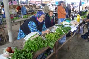 Die meisten der jungen Menschen wandern ins Ausland ab. Zurück bleiben die Älteren, die auf sich allein gestellt von der Landwirtschaft leben müssen. Foto: humedica/Andrea Trautmann