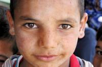 Die Dringlichkeit vielseitiger Hilfe