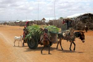 Zwischen dem Leben nach westlichen Standards und dem im äthiopischen Flüchtlingslager Melkadida liegen Welten. Foto:humedica/Gerhard Petz