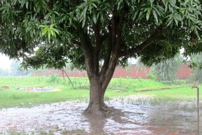 Bedarfsorientierte Hilfe für die Betroffenen