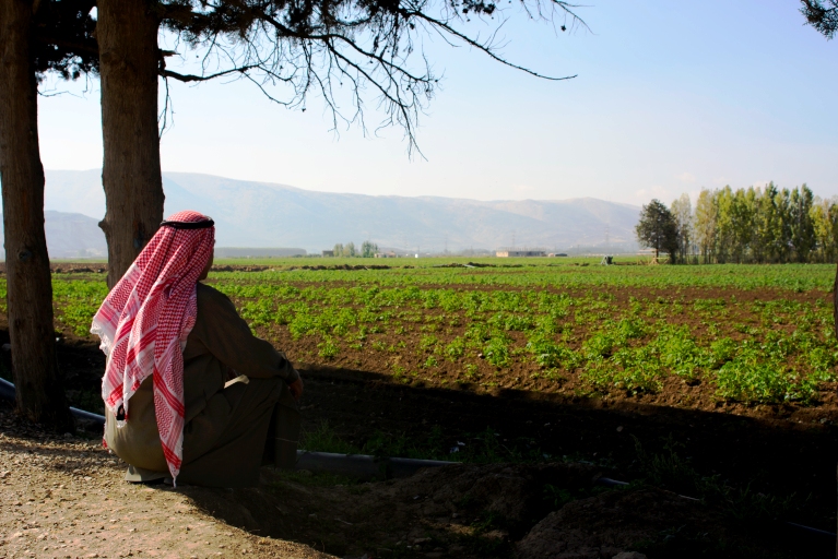 Alles was ihnen bleibt, ist der traurige Blick auf die nahen Berge, hinter denen ihre Heimat Syrien in einem Strudel der Gewalt versinkt. Foto: Mohammad Chaddad