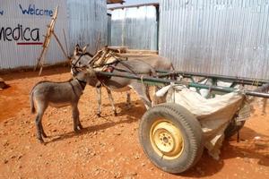 Ein umfunktionierter Eselskarren dient demhumedicaHealth Postals Krankenwagen. Foto:humedica