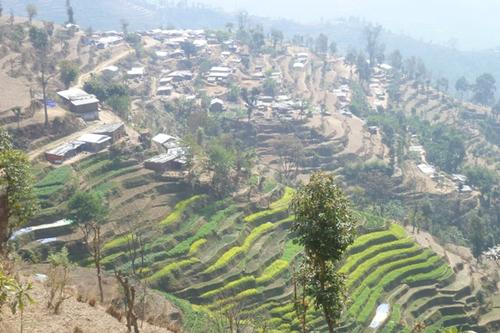Den fehlenden Bewässerungsmöglichkeiten wird durch terrassenförmigen Anbau entgegen gewirkt. Foto:humedica